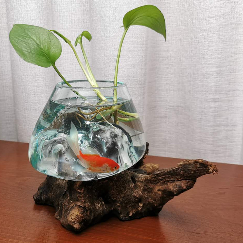 创意小型鱼缸 沉木枯木个性绿萝铜钱草玻璃水培花瓶摆件 一物一拍