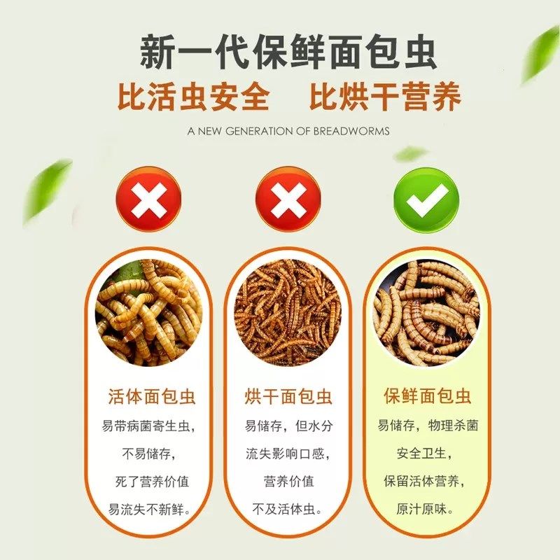 龙鱼饲料金龙红龙银龙鱼食血鹦鹉招财鱼蝴蝶鲤鱼料大麦虫干面包虫