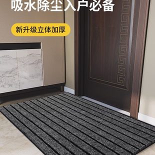 客厅进门地毯防滑入门室外门垫大门玄关入户门地垫脚踏口垫子家用