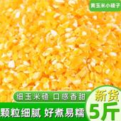 新货黄玉米碴5斤东北玉米碎小碴子苞米渣糯玉米碴笨玉米碎棒子