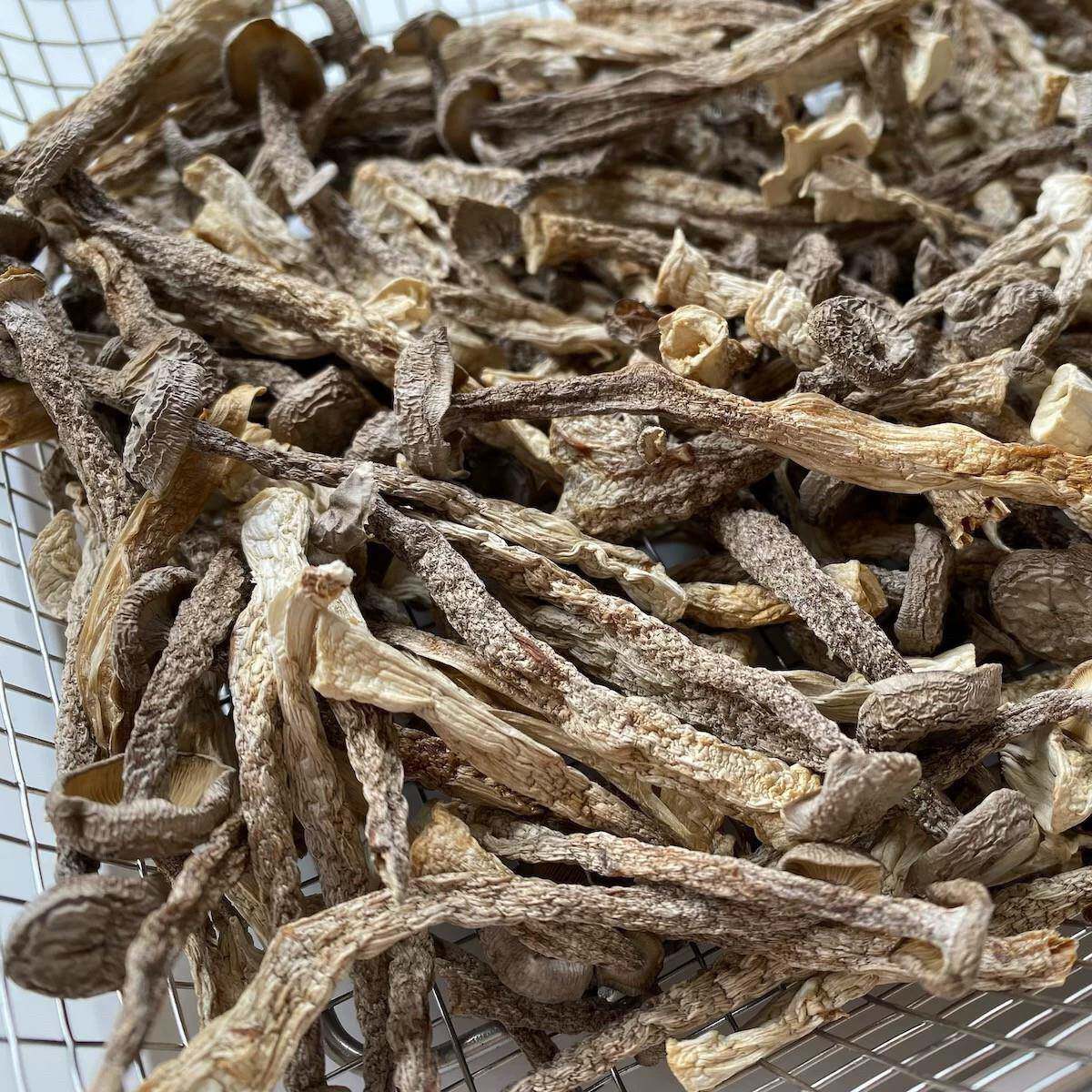 现货云南鹿茸菇干货鹿茸菇干货云南特产食材非新鲜煲汤菌菇包无碎