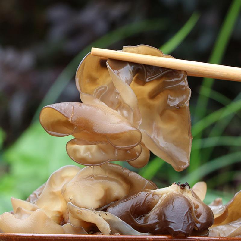 现货肉薄细嫩 头茬春耳 青杠段木耳农家青川黑木耳干 干货250g