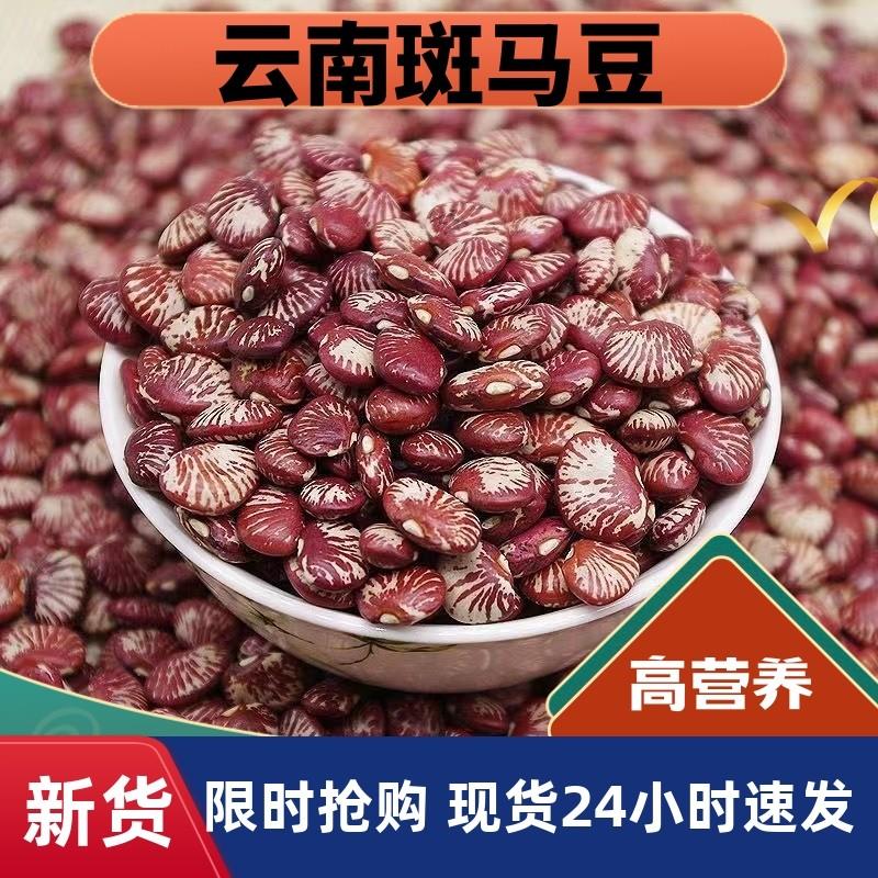 新货云南斑马豆新货农家