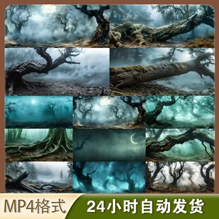 高清4k幽暗森林恐怖树木古老迷雾诡异枯枝奇幻神秘荒野视频素材
