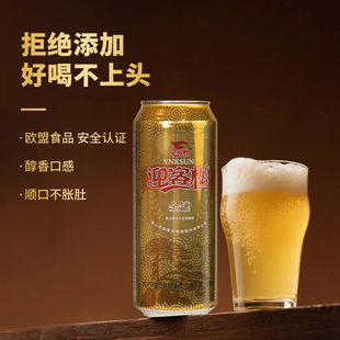 迎客松金罐啤酒麦芽浓度10P 500ml*6瓶整箱德式工艺酿造