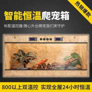 实木双温控鬃狮陆龟蛇守宫蜥蜴芦丁鸡智能恒保温爬宠虫玻璃饲养箱