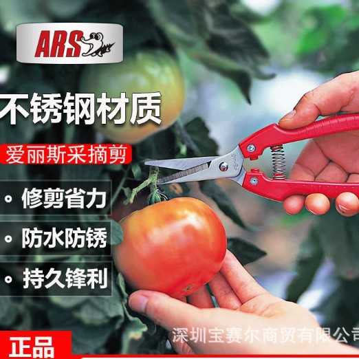 进口爱丽斯采摘剪稀果长嘴剪刀摘果器剪花枝家用蔬果剪刀SE-45