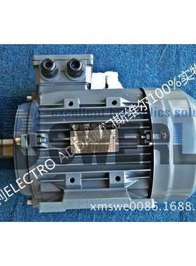 C112M-4意大利ELECTROADDA电机中国服务中心