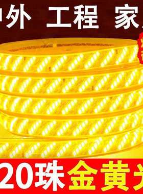 220v户外灯带led超亮防水客厅屋檐外墙灯条工程室外暖光暖色