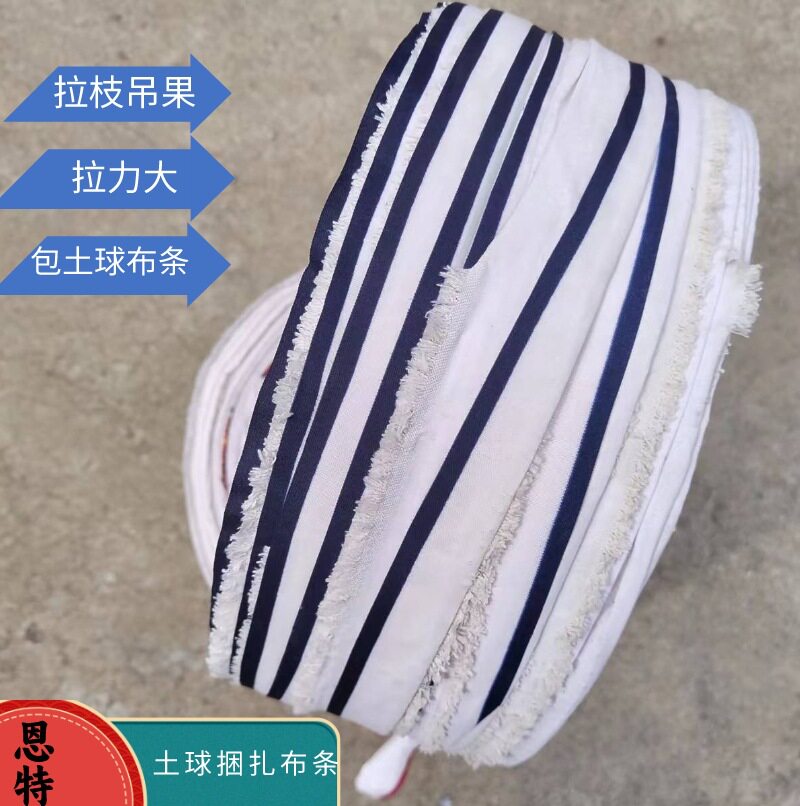 园林绿化包土球拉枝缠根布带