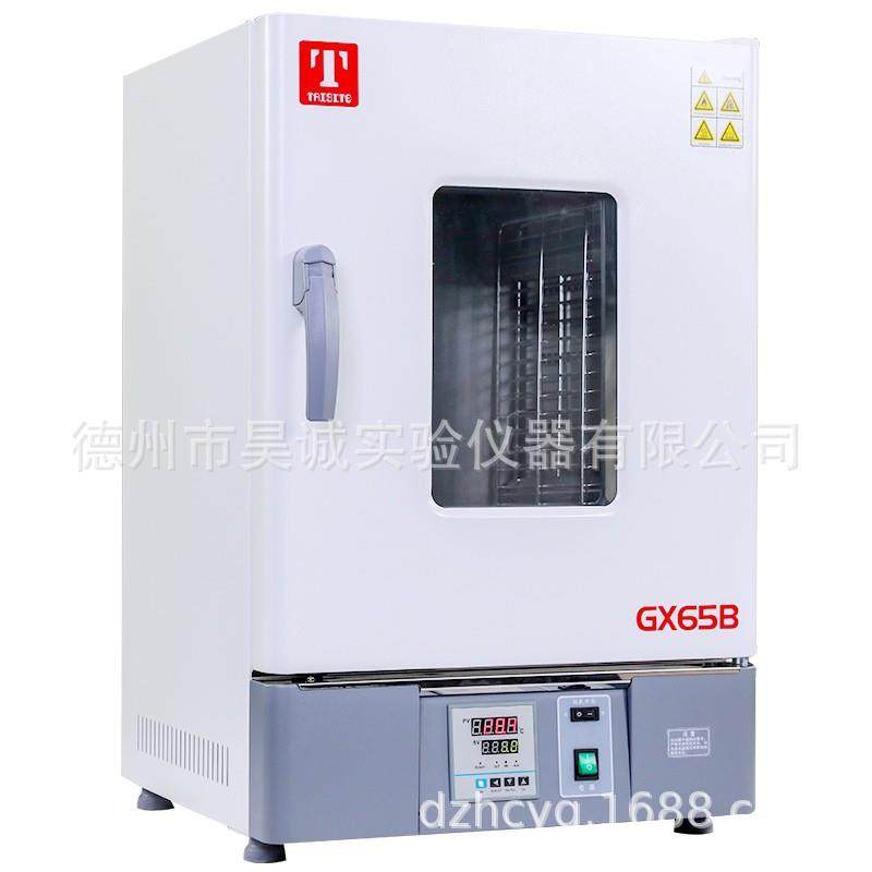 GX125B(D)泰斯特热空气消毒箱（干烤灭菌箱/远红外干燥箱）