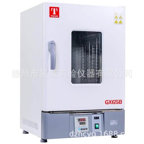 GX125B(D)泰斯特热空气消毒箱（干烤灭菌箱/远红外干燥箱）