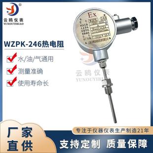 热电阻WZPK2 246隔爆铠装 热电阻WZPK 防爆等级ExdIICT6防爆铠装