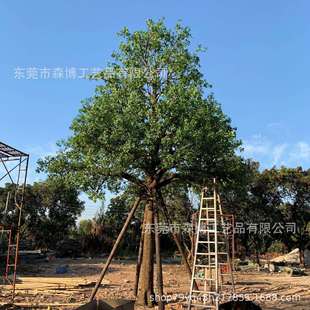 大型仿真玻璃钢马醉木手感马醉木单支叶子室内园林景观装饰榕树