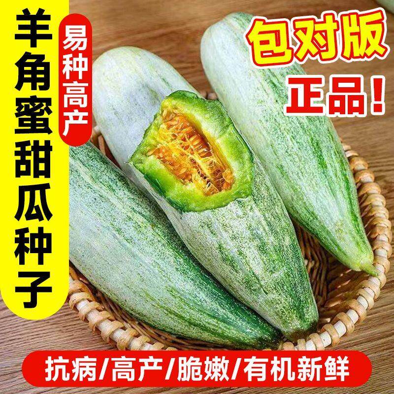 羊角蜜甜瓜种子水果种籽高产四季播原装冰糖子绿宝石种子大全