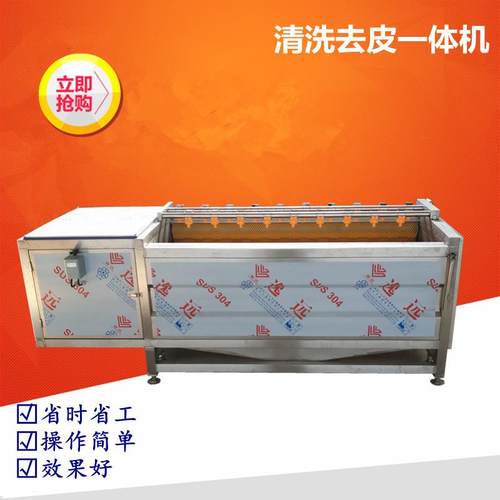 大中小型羌若大枣清洗机板枣清洗设备毛辊果蔬清洗机