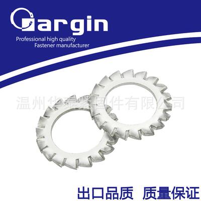 GB862.2 外锯齿锁紧垫圈/锁紧垫片/外多齿止动/菊花介子镀锌/04