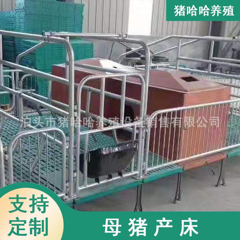 母猪产床设计猪舍母猪产床