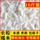 新糯米10长粒糯米大糯米新米包粽子新糯米香粘软糯江米2