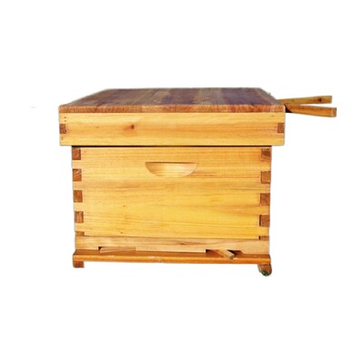 中蜂蜂箱全蜜蜂诱蜂箱十框七框标准土蜂箱意蜂蜂桶养蜂工具