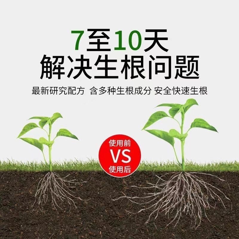 强力生根液果树移栽壮苗剂大树发根剂营养液通用扦插快速生根