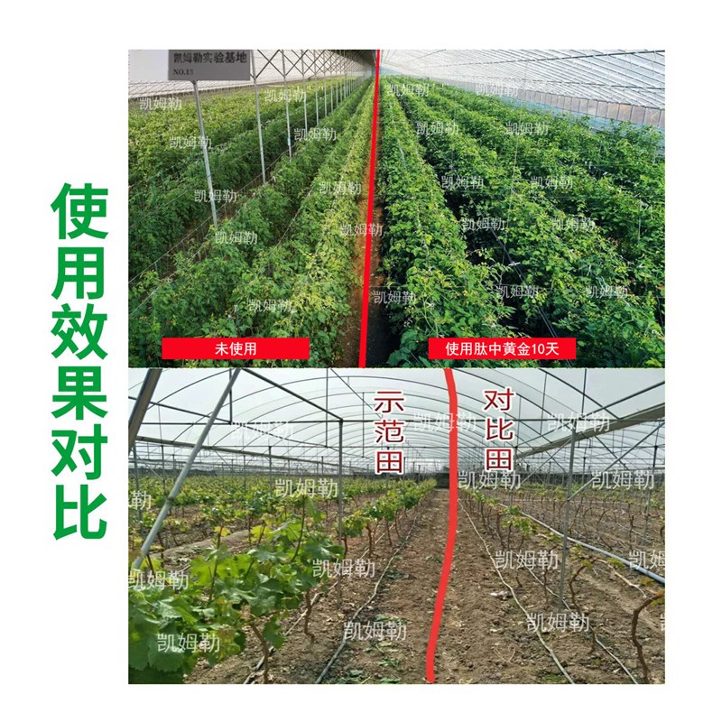 盐碱地土壤改良剂肥抗盐抗碱星向生根提苗促生长农用