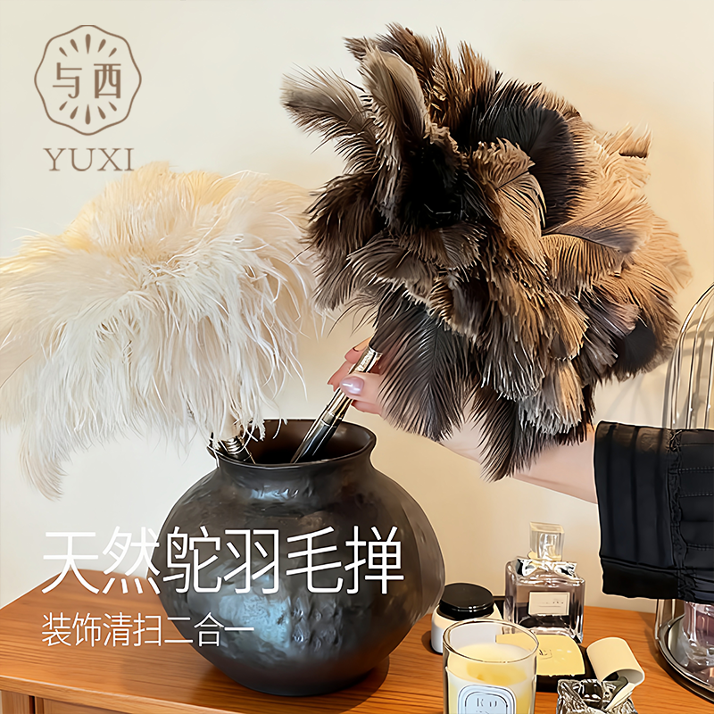 与西天然鸵鸟毛掸子客厅书架除尘可伸缩防静电长柄掸高处缝隙清洁,收纳整理,其他收纳,淘宝优惠券,粉丝福利购,淘宝优惠卷