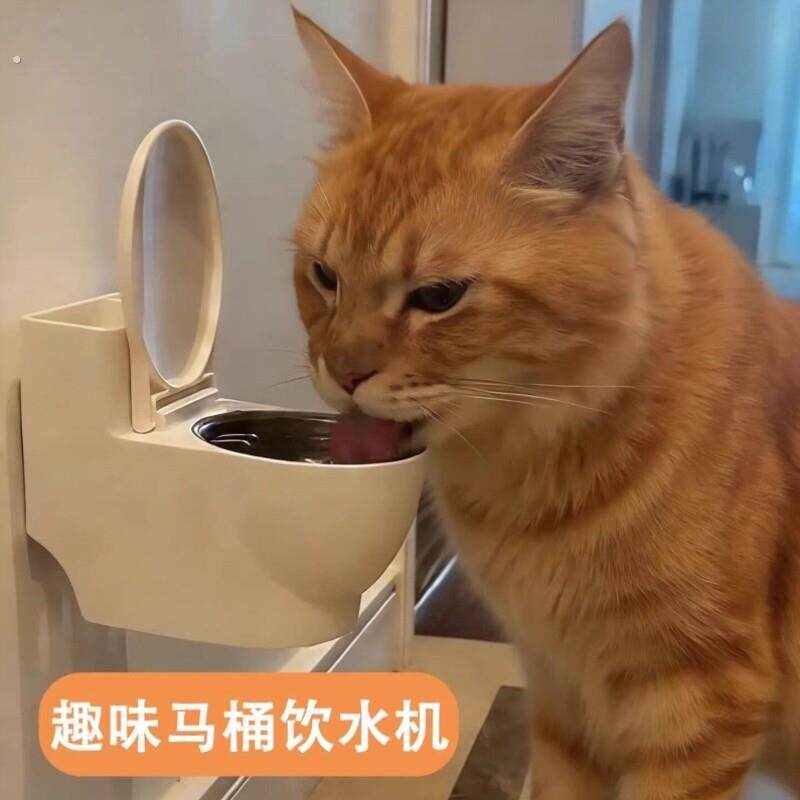 猫咪马桶饮水机宠物喝水饮水器水碗小猫骗水神器猫碗悬挂防打翻