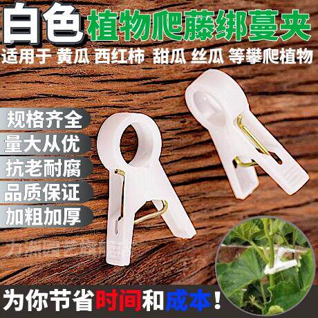 植物吊秧夹子大棚黄瓜番茄番茄绑蔓夹吊蔓夹扶蔓夹农用落秧夹子
