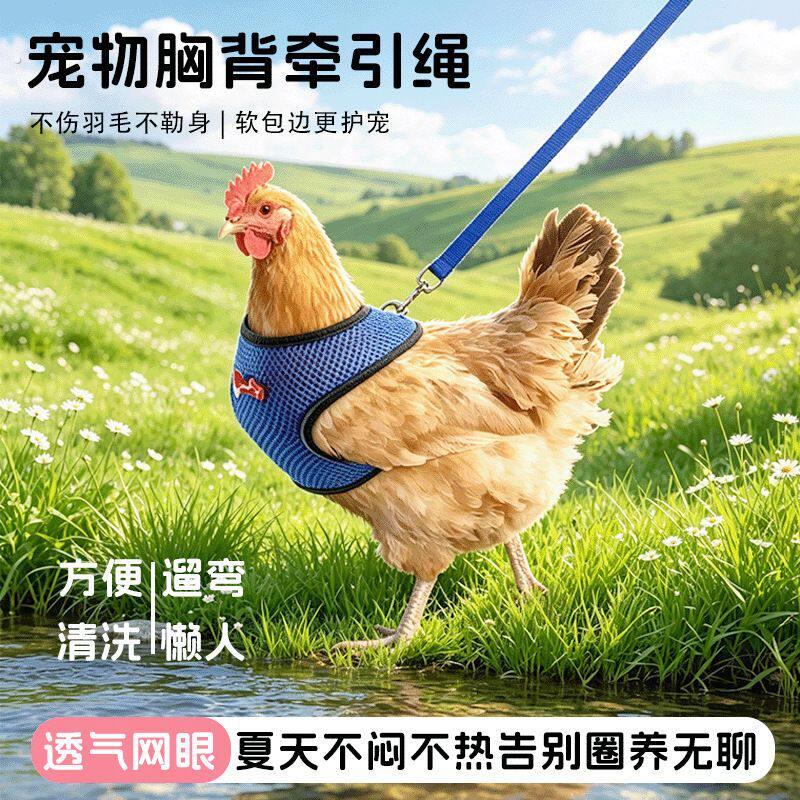 鸡鸭牵引带 宠物牵引绳 亚马逊爆款新款宠物手拉带宠物通用