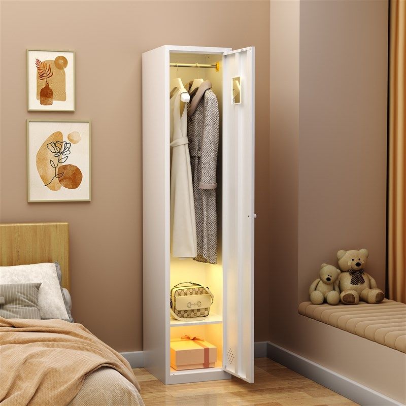 家用钢制衣柜卧室单门多层收纳储物衣橱现代简约儿童成人彩色衣架