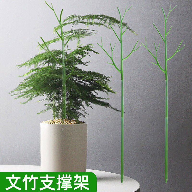 文竹支撑架植物固定防倒伏龟背竹支撑杆绿萝爬R藤花架支架园艺造