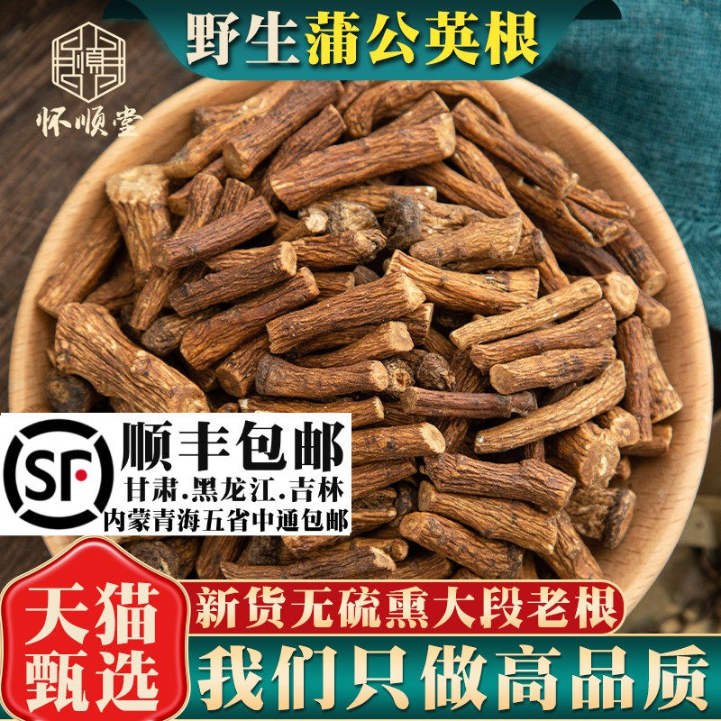 野生蒲公英根500g材蒲公英根另售菊苣根泡水