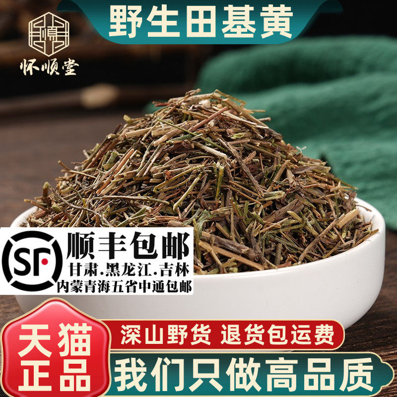 材野生田基黄500g250g100克新货干地耳草黄花草雀舌草