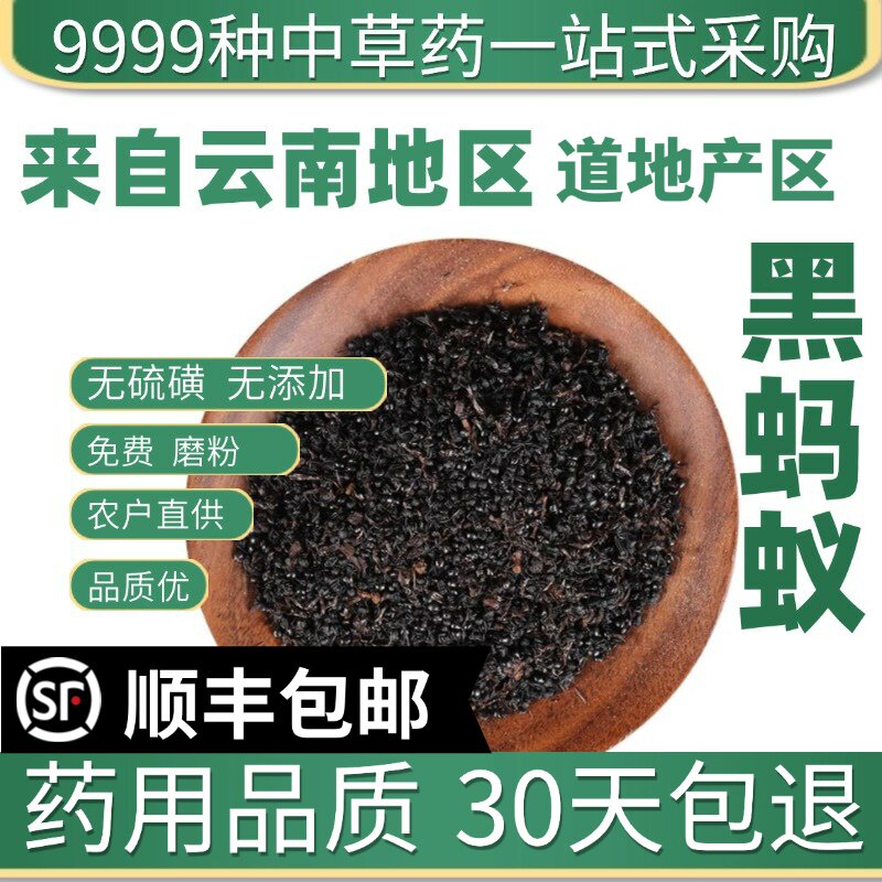 材特级野生黑蚂蚁 干货蚂蚁 拟黑多刺黑蚂蚁 50克药用泡酒