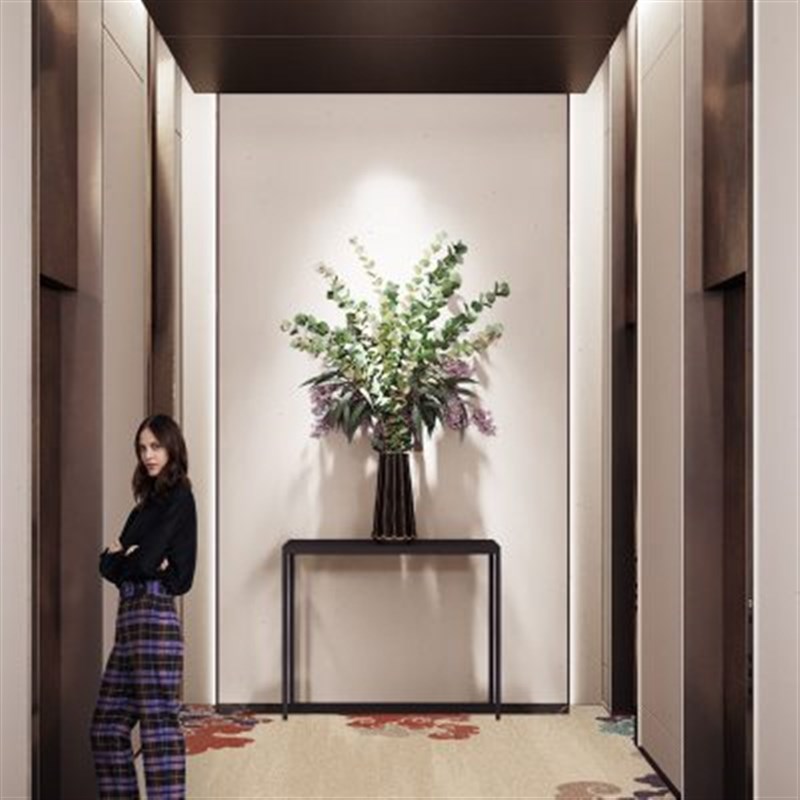 现代中式入户玄关地垫大r门外丝圈耐脏防滑可裁剪门垫进门耐磨脚