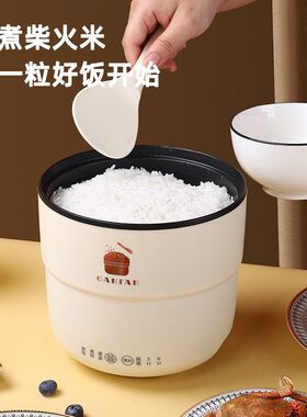 迷你电饭煲小型家用多功能煮饭煮粥炖汤1-2人智能小电饭锅电煮锅