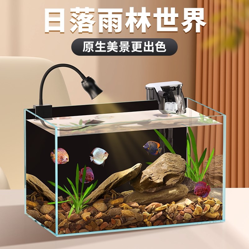 超白玻璃鱼缸客厅小型原生南美溪流缸热带雨林造景缸桌面生态龟缸