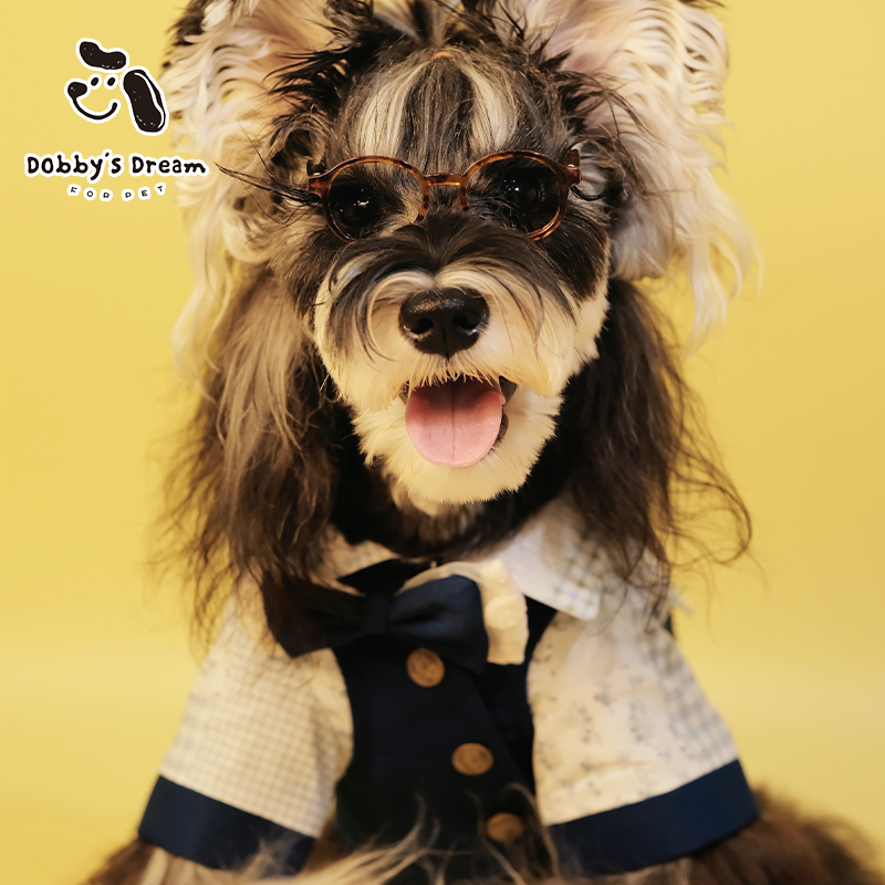 新款宠物泰迪狗狗衣服春秋款小中型犬可牵引弟弟款马甲衬衫