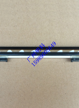 科学诚 EZ-4206 EZ-4236 2100条码标签 打印头P 203dpi 两边接脚