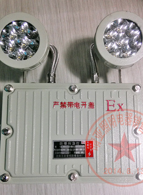 新黎明双头防暴应急灯LqED照明节能灯疏散指示标志灯灯具2*10W