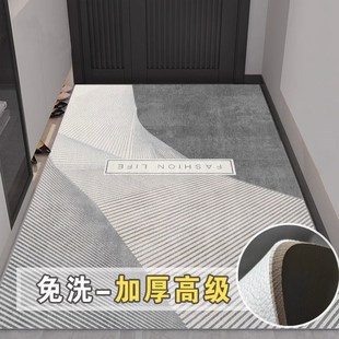 高级感入户门地垫防水耐脏免洗防滑大门垫家用门口进户脚垫可擦洗