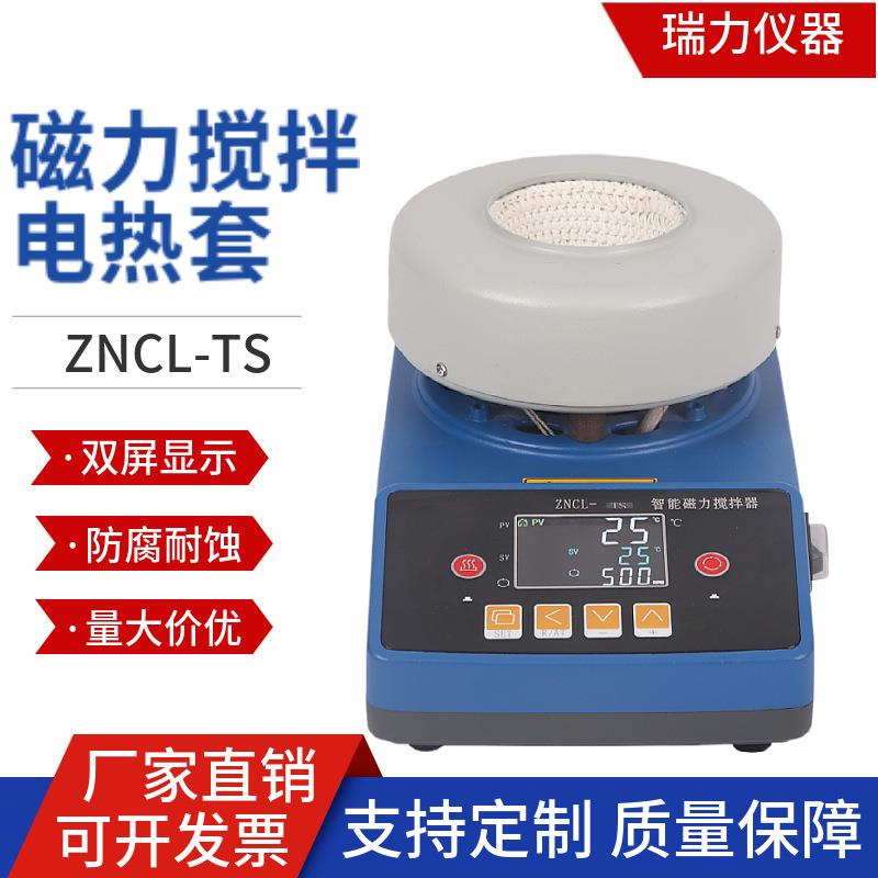 瑞力仪器磁力搅拌器实验室智能数显恒温磁力搅拌器电热套ZNCL-TS