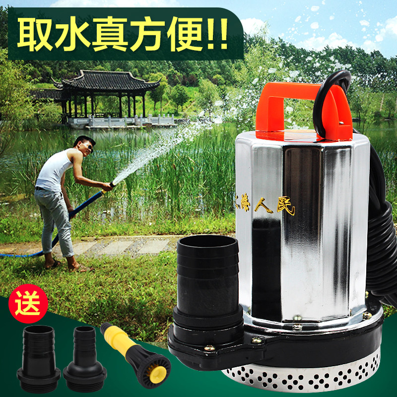 直流潜水泵电瓶车电动车蓄电池电瓶水泵12V24v48v60V水泵抽水机