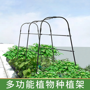 花棚种植架温室小保暖大棚植物农村保温棚户外园艺支架挡雨小防雨