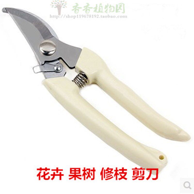 园艺用具 修剪花木 果树 花卉 修枝剪刀 园艺工具 花剪