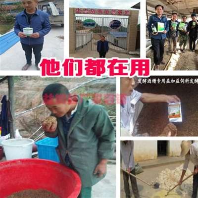 豆渣发酵剂豆腐渣潲水酒糟豆粕发酵粉发孝喂猪鸡S牛羊养殖Em菌种