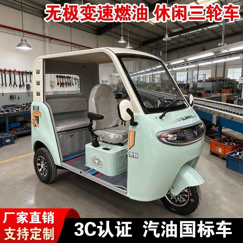 全新带棚国际燃油休闲接送孩子旅游代步家用三轮摩托车