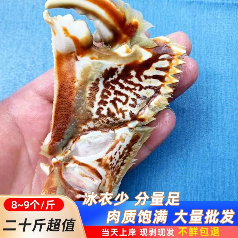 超大号蟹钳20斤.蟹钳新鲜蟹脚元宝蟹钳蟹脚净重16斤