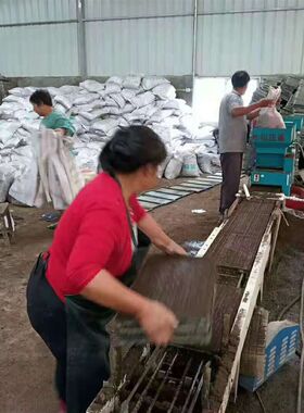 厂家销售5e0L大包装水稻育苗基质家庭农场种植大户机插秧育秧基质